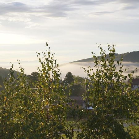 Gites Du Taennchel Thannenkirch Exteriér fotografie