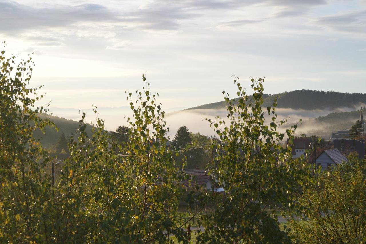 Gites Du Taennchel Thannenkirch Exteriér fotografie